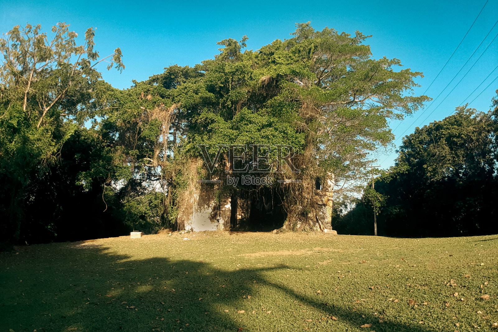 维拉克鲁斯主教堂的废墟照片摄影图片