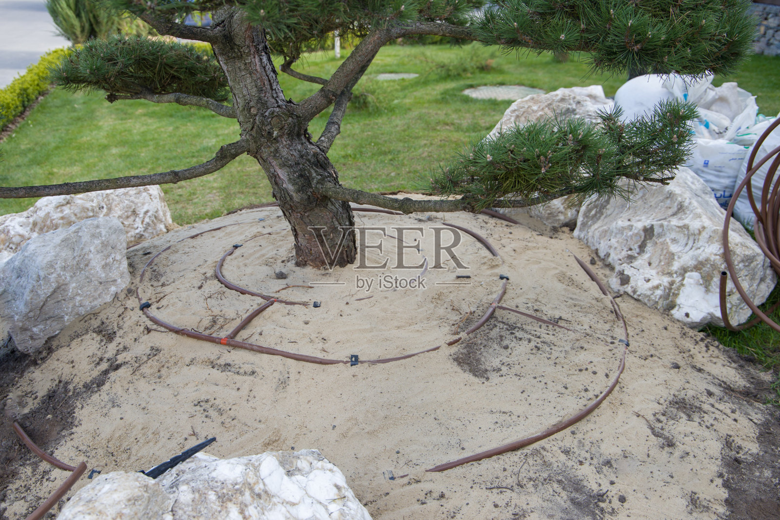 安装滴灌照片摄影图片