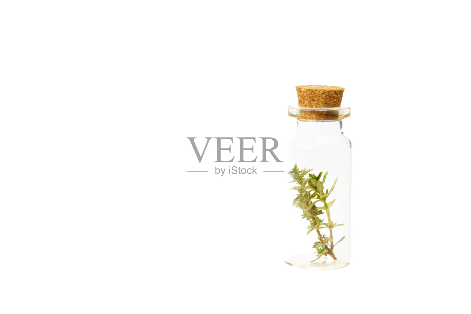 装有新鲜百里香小枝的玻璃瓶特写照片摄影图片