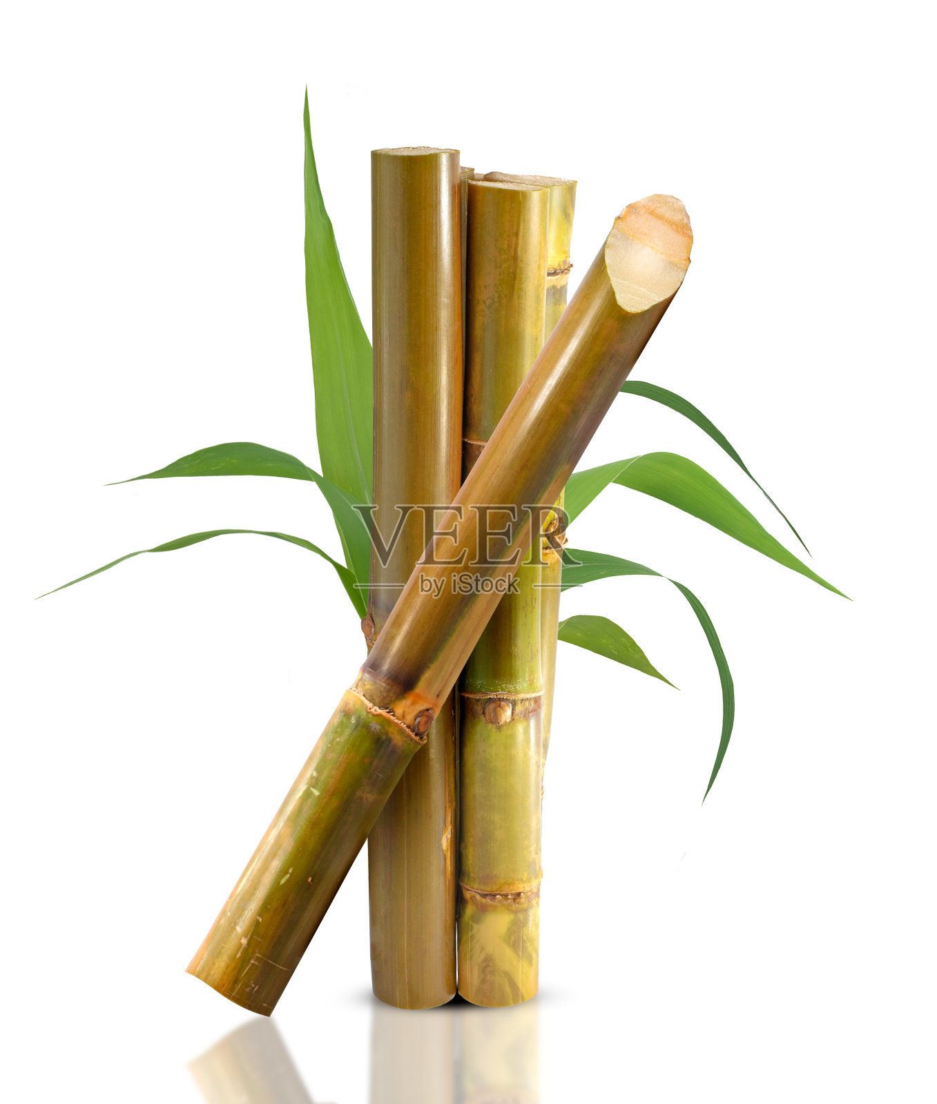 甘蔗孤立在白色背景上照片摄影图片