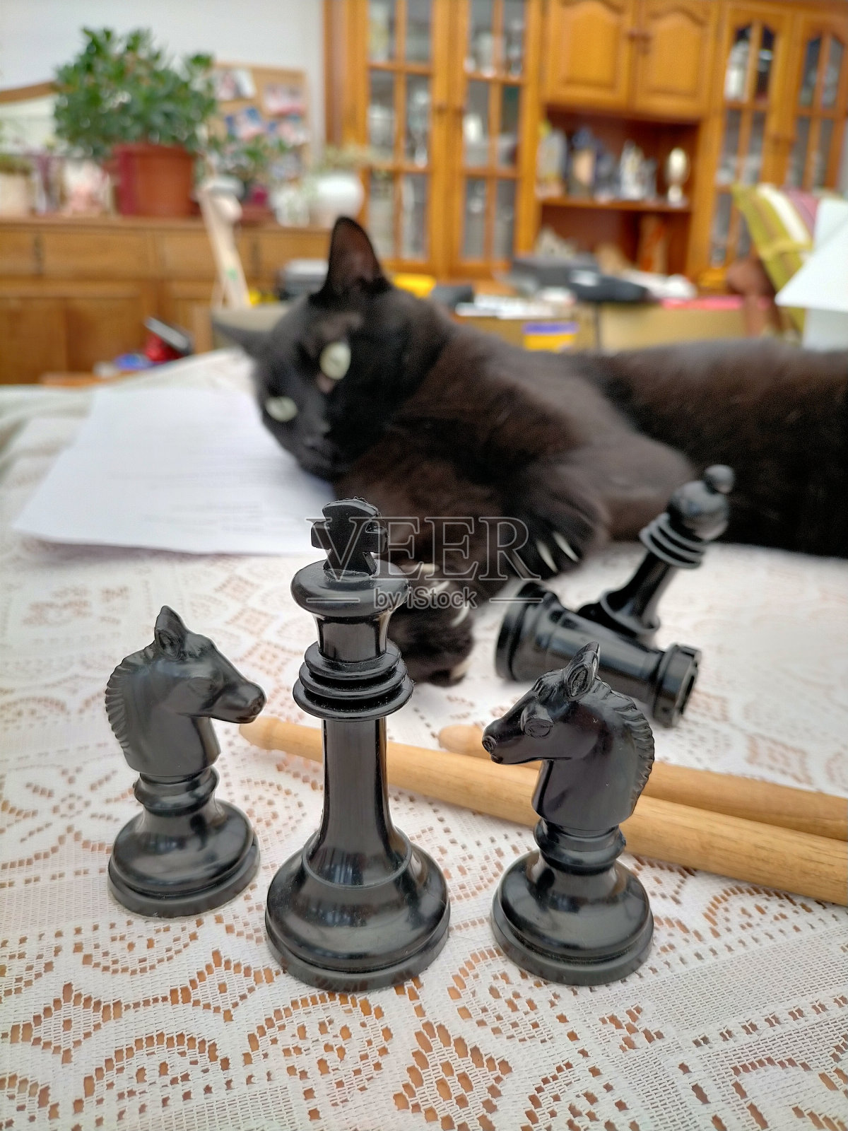 黑猫靠近黑棋子照片摄影图片