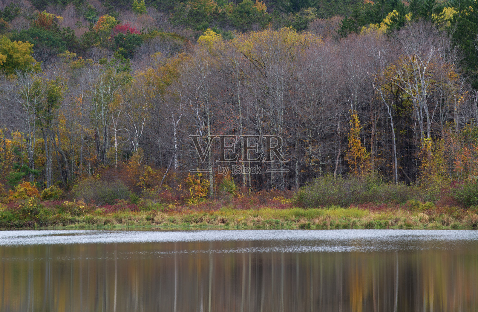 晚秋湖景照片摄影图片