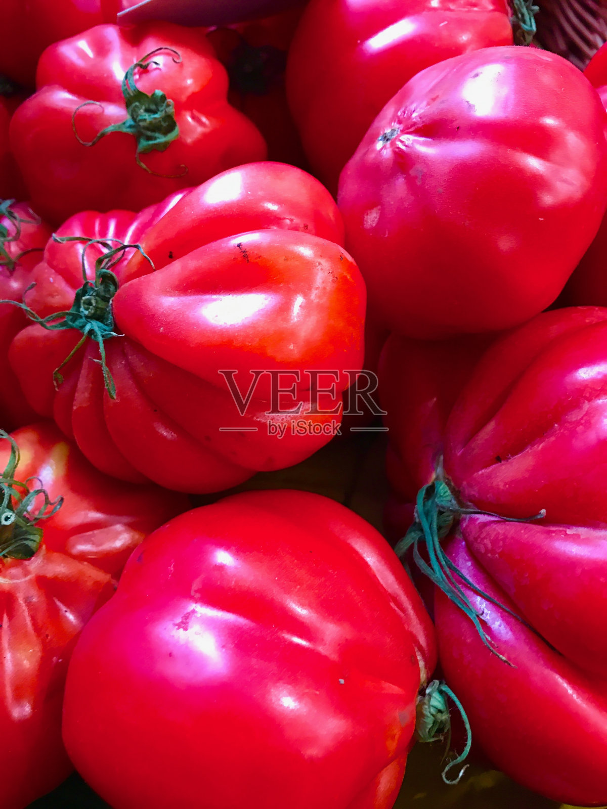 番茄照片摄影图片