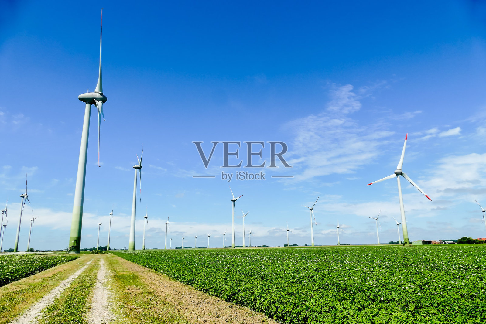 风力涡轮机在瑞典、斯堪的纳维亚、北欧的野外照片摄影图片