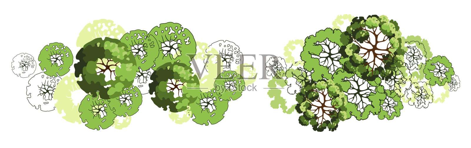 用于建筑平面图的树。随行人员设计。各种树木、灌木、灌木,为景观设计方案的俯视图。矢量插图。插画图片素材