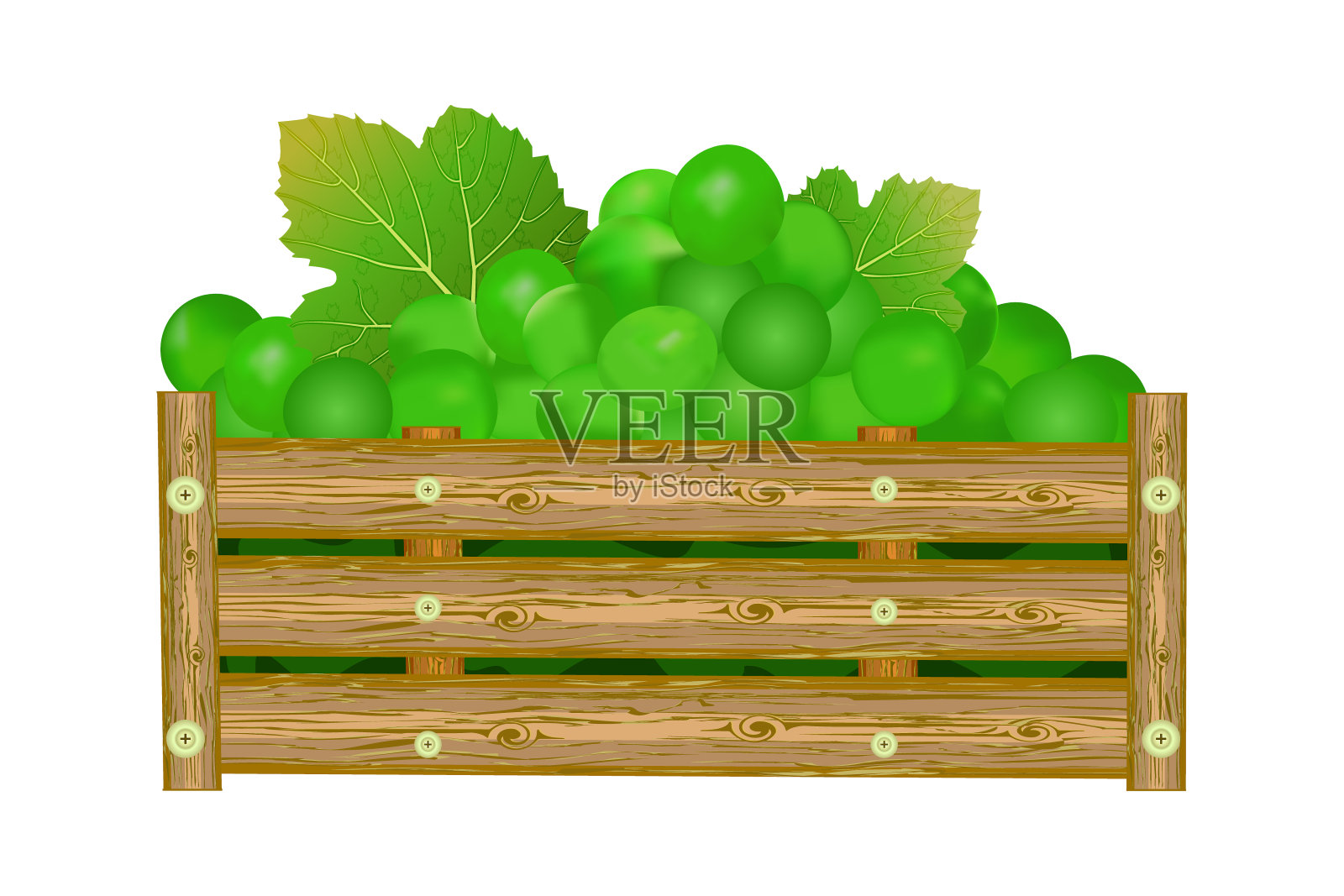 一串串绿色的葡萄放在木箱里,孤立在白色的背景上。一箱新鲜多汁的果园葡萄。装满成熟的浆果。插画图片素材