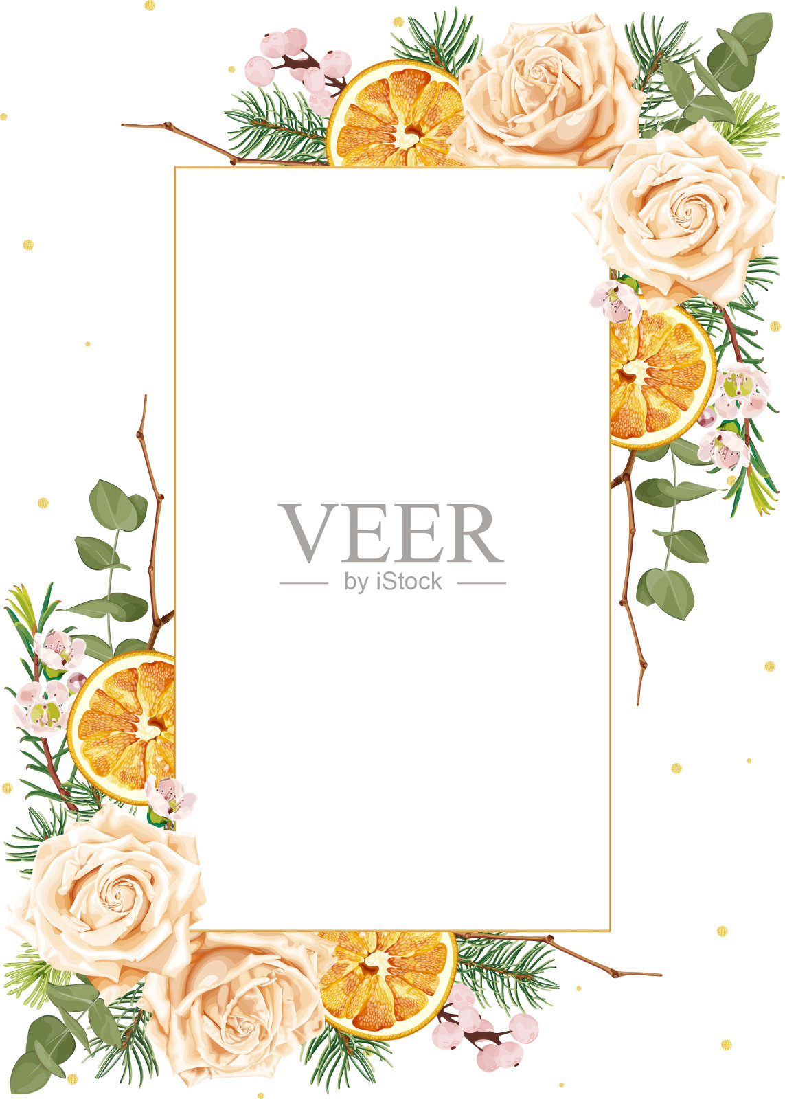 圣诞框架的邀请,贺卡,横幅,玫瑰花,干橙,冷杉树,桉树和浆果。插画图片素材