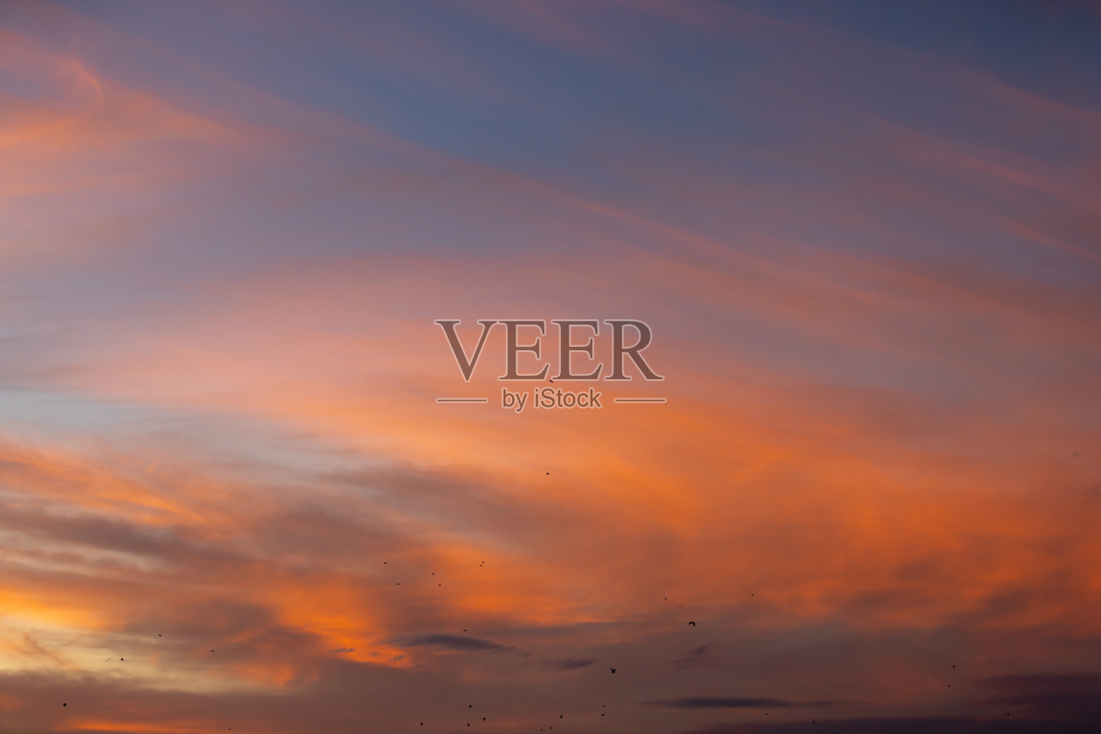 晚霞。照片摄影图片