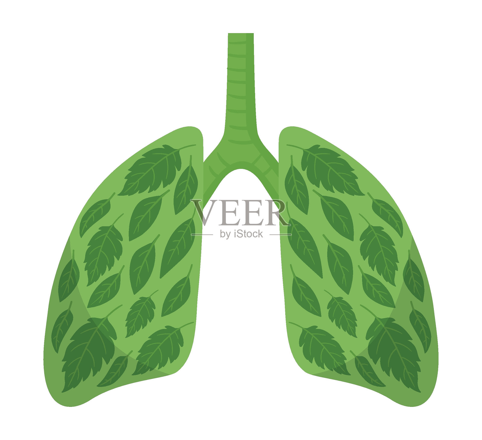 卡通健康肺。人类洁净的肺,绿色星球肺的比喻,良好生态条件的平面向量说明。清洁呼吸系统插画图片素材