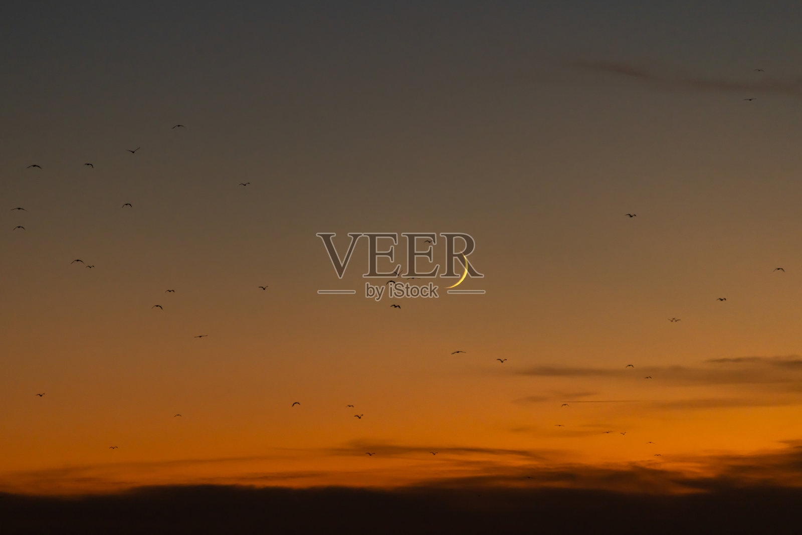 晚霞与月牙。照片摄影图片