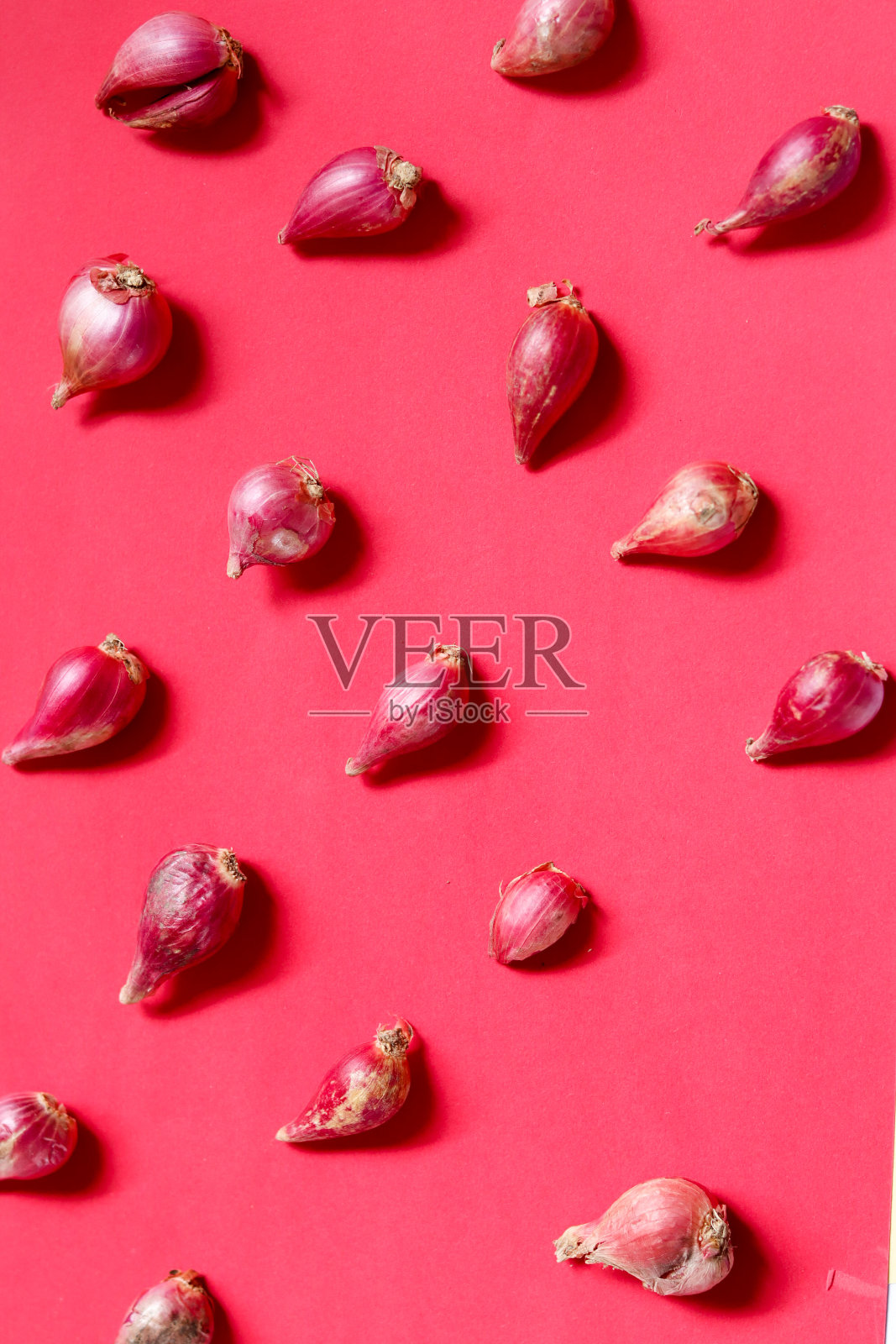 草本植物照片摄影图片