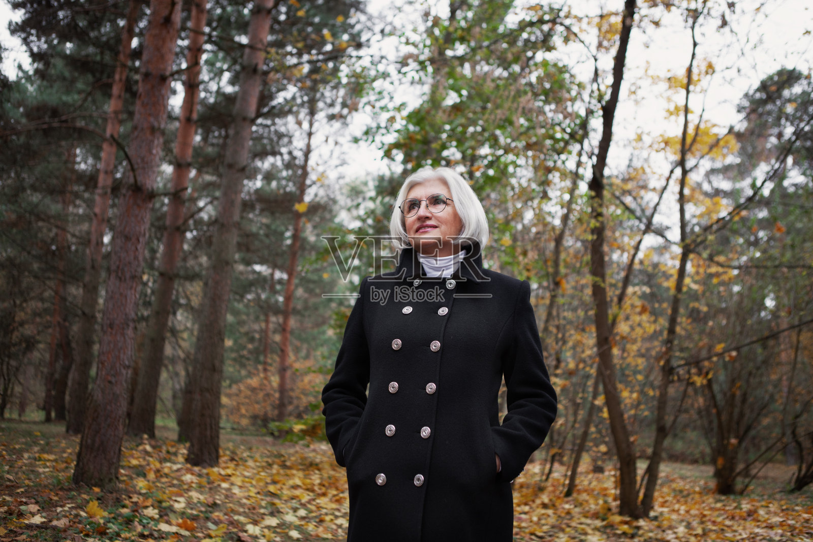 白发苍苍的老妇人站在森林里,欣赏大自然。美丽的老年女模特穿着黑色外套享受宁静。与自然和谐相处,与人独处照片摄影图片