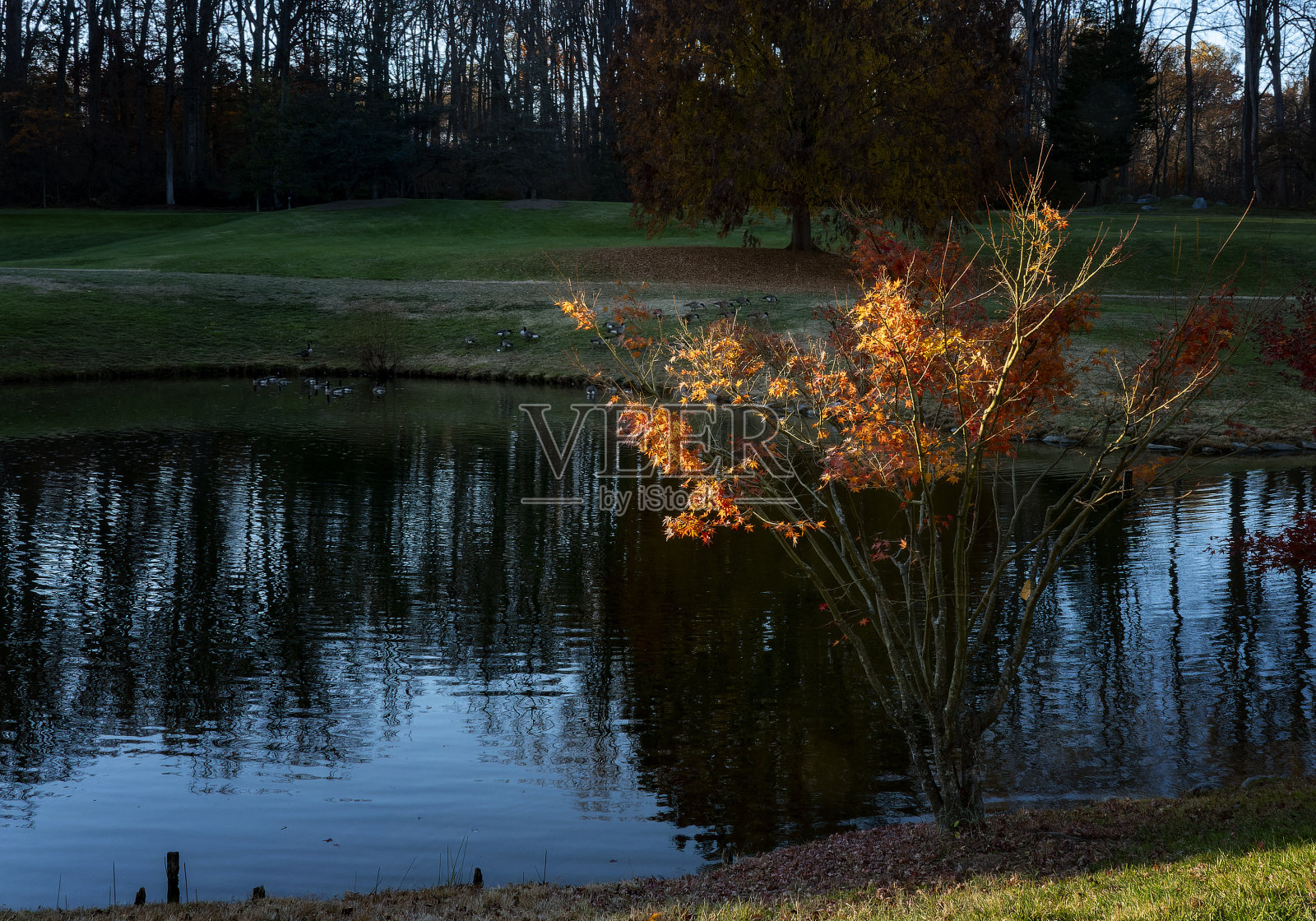 湖面上的秋色照片摄影图片