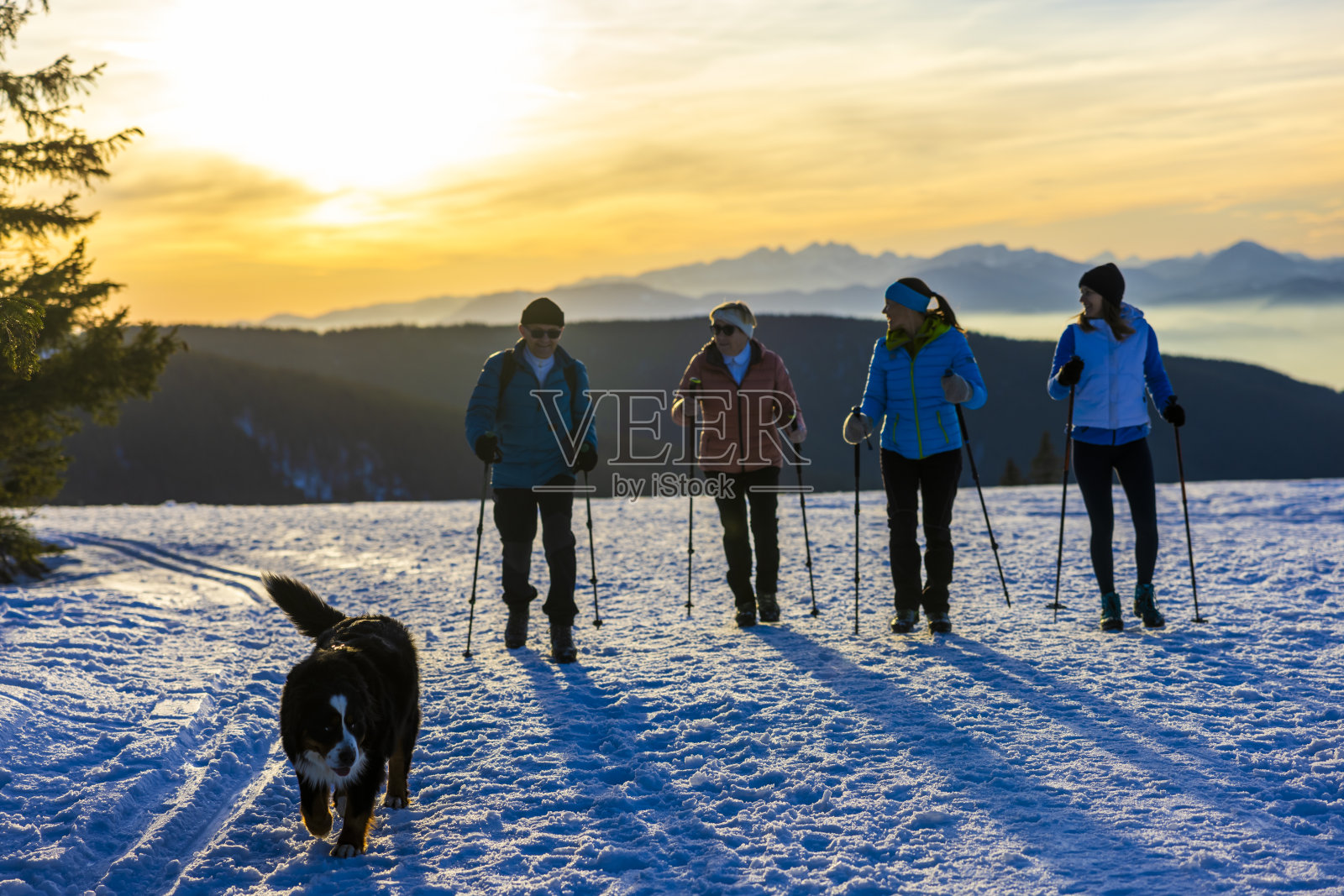 寒假带着宠物狗在雪地上徒步旅行的一家人照片摄影图片
