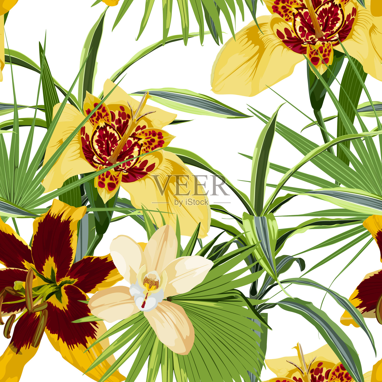 无缝图案与百合tigridia花插画图片素材