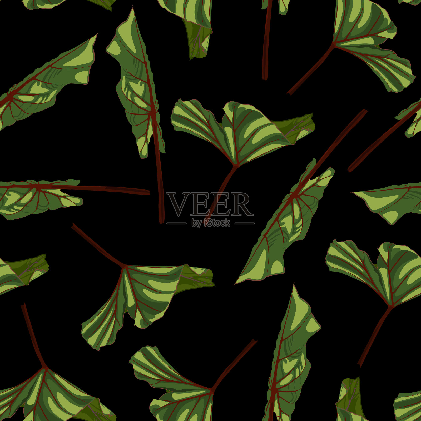 花无缝图案的海藓属植物棕榈插画图片素材