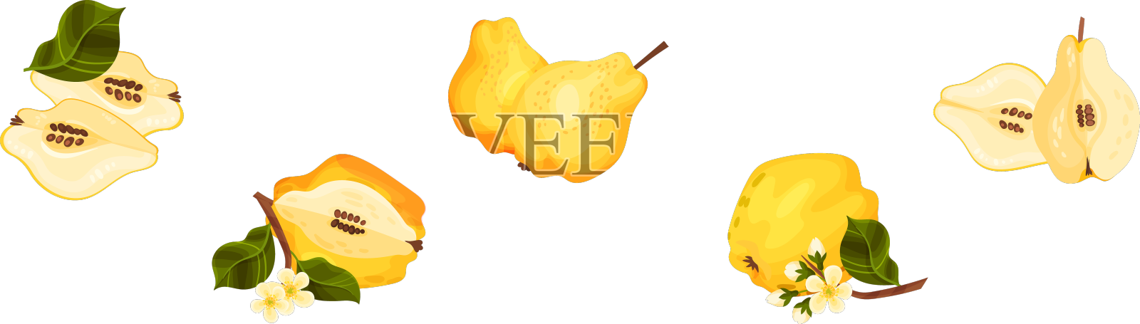 木瓜果实全半带茎设计元素图片