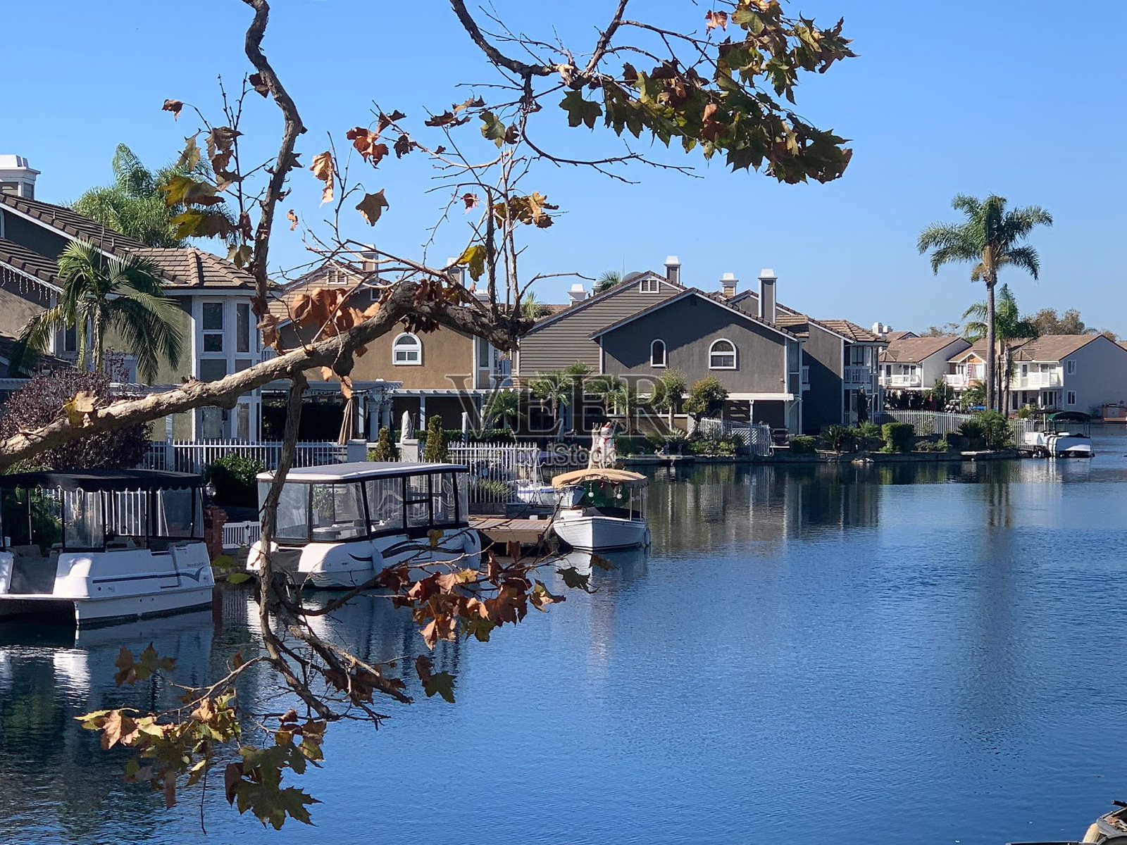 梦想家照片摄影图片