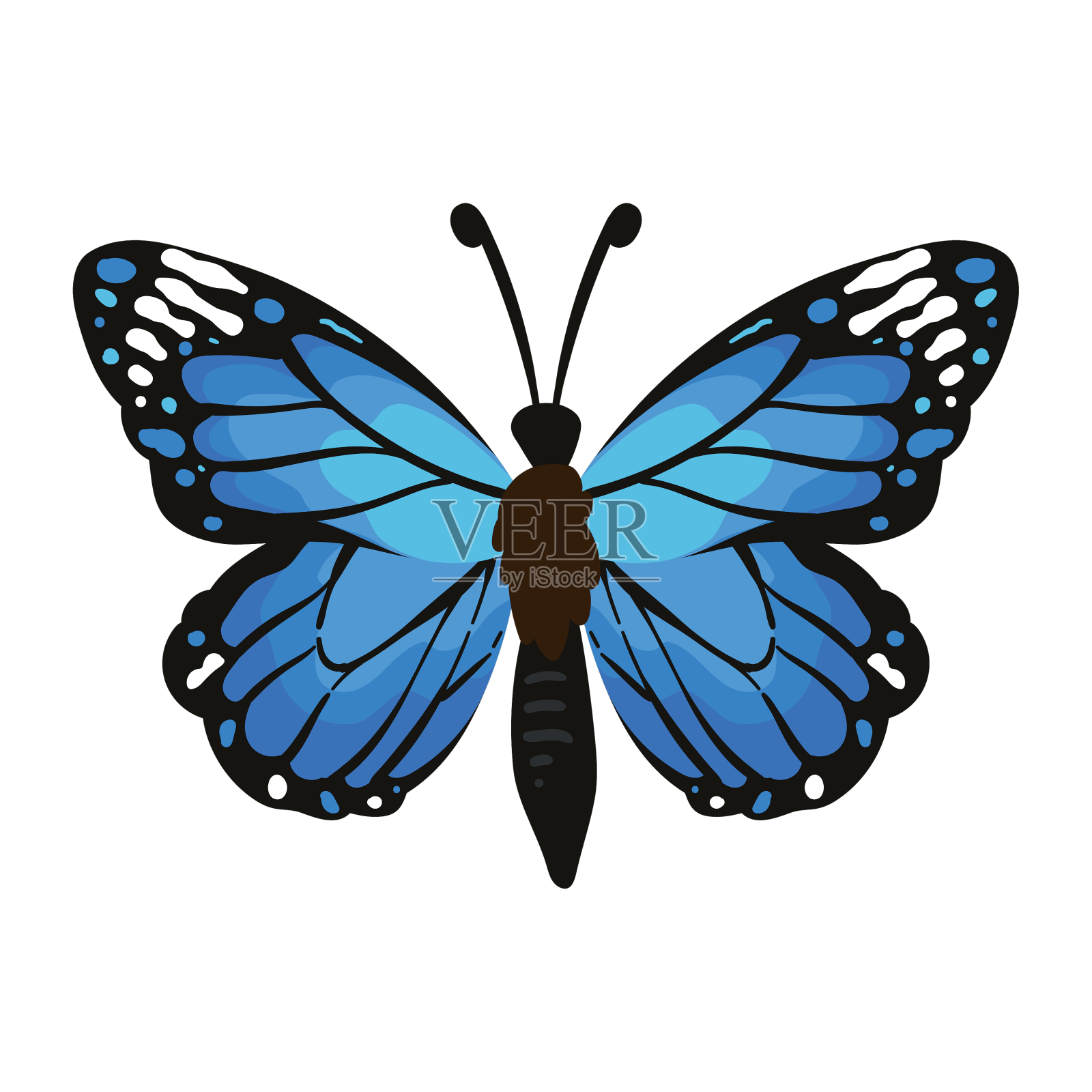 分离的蝴蝶昆虫设计元素图片