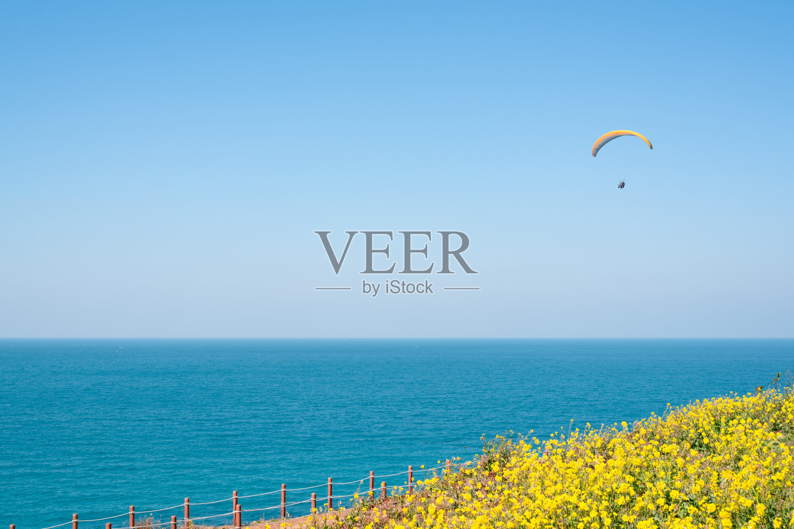 济州岛西峰峰黄油菜花田和咸德海滩照片摄影图片