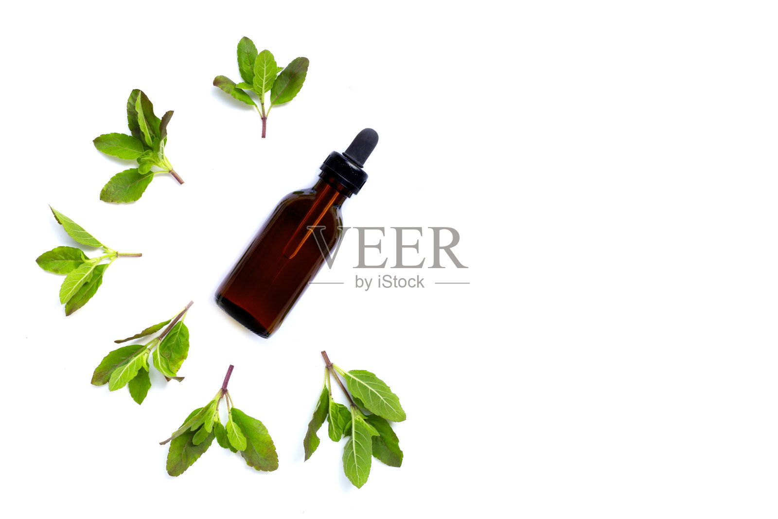 圣罗勒精油与叶子上的白色照片摄影图片