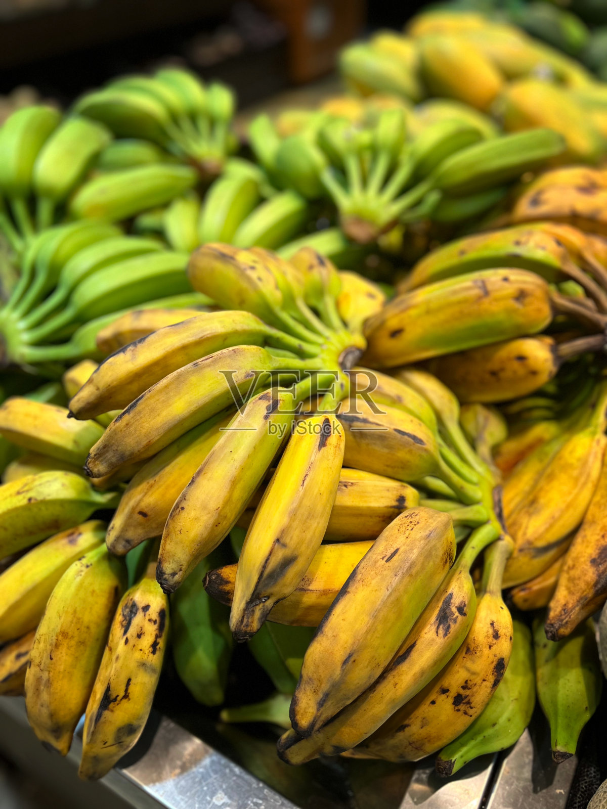 黄香蕉和绿香蕉照片摄影图片