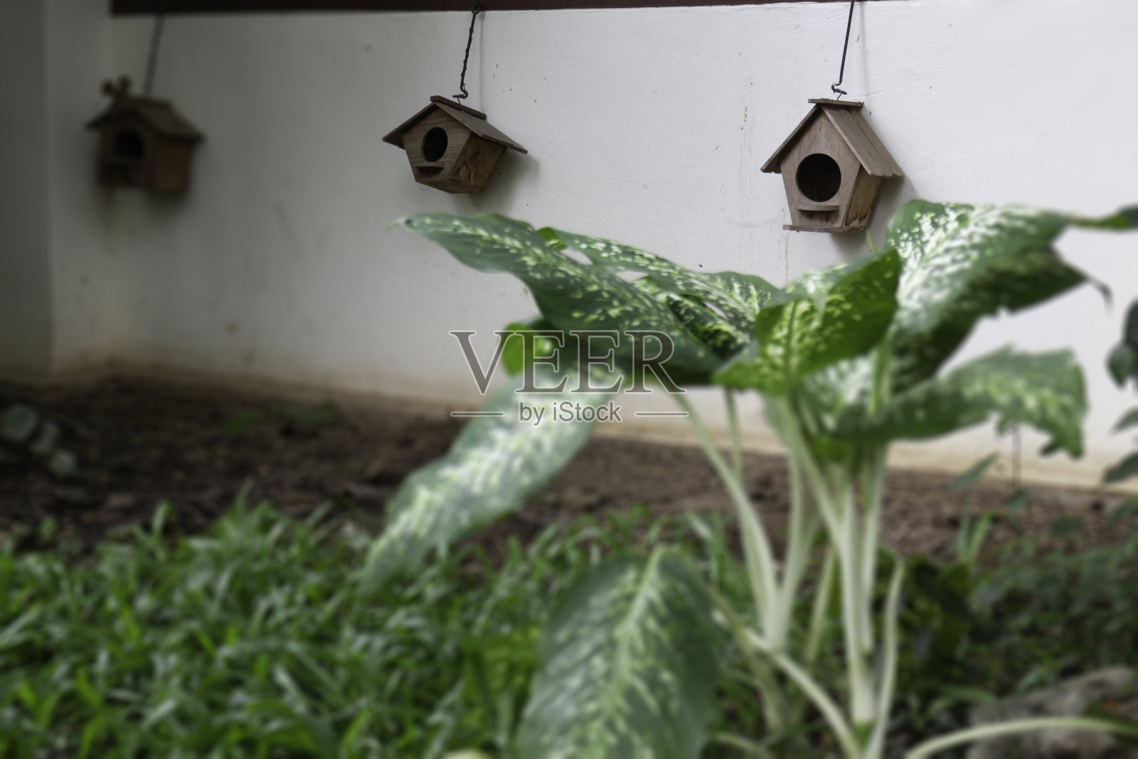 舒适的咖啡厅氛围内部照片摄影图片