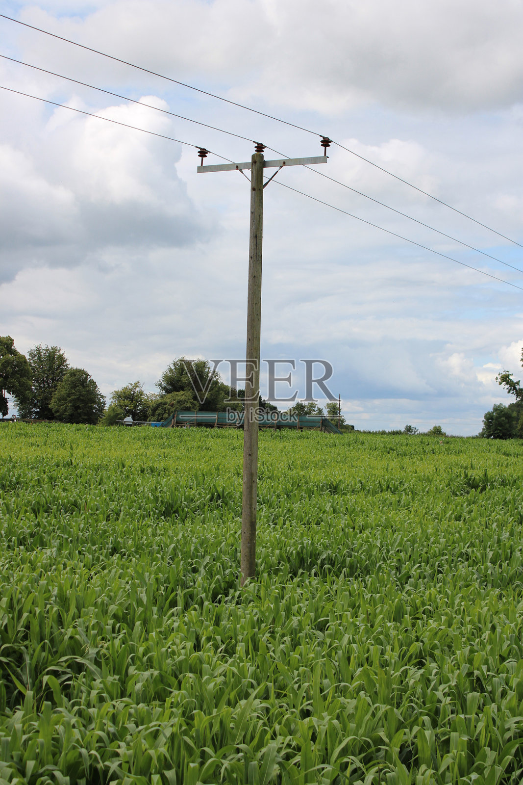 英国玉米地里的三相架空电力线照片摄影图片
