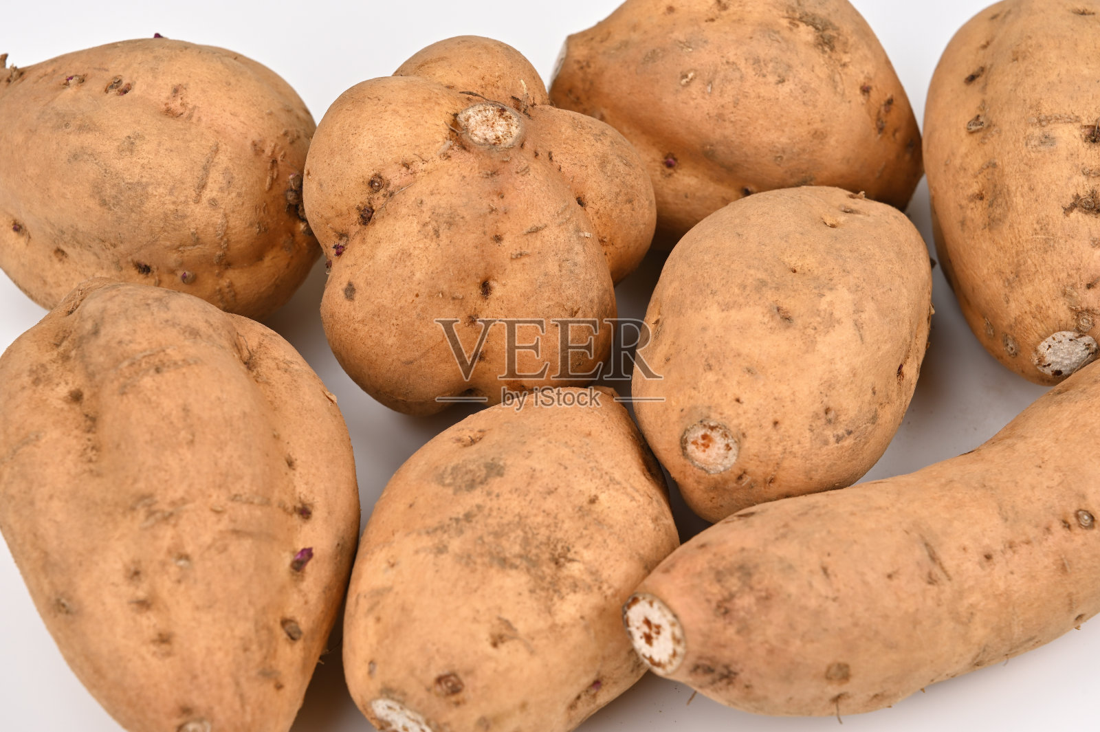 很多土豆带着泥土照片摄影图片