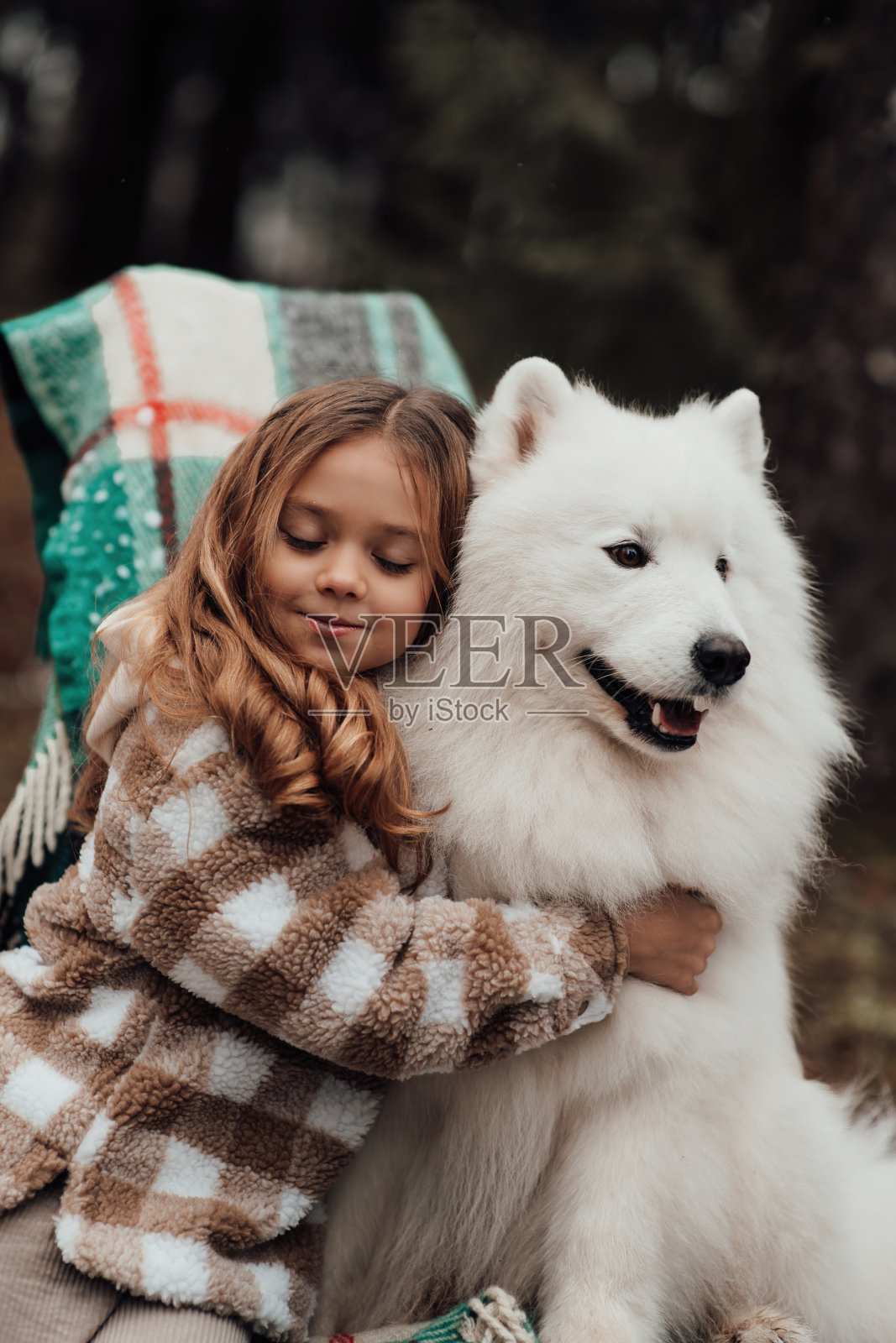 小女孩和白色萨摩耶犬在户外圣诞巴士附近玩耍照片摄影图片