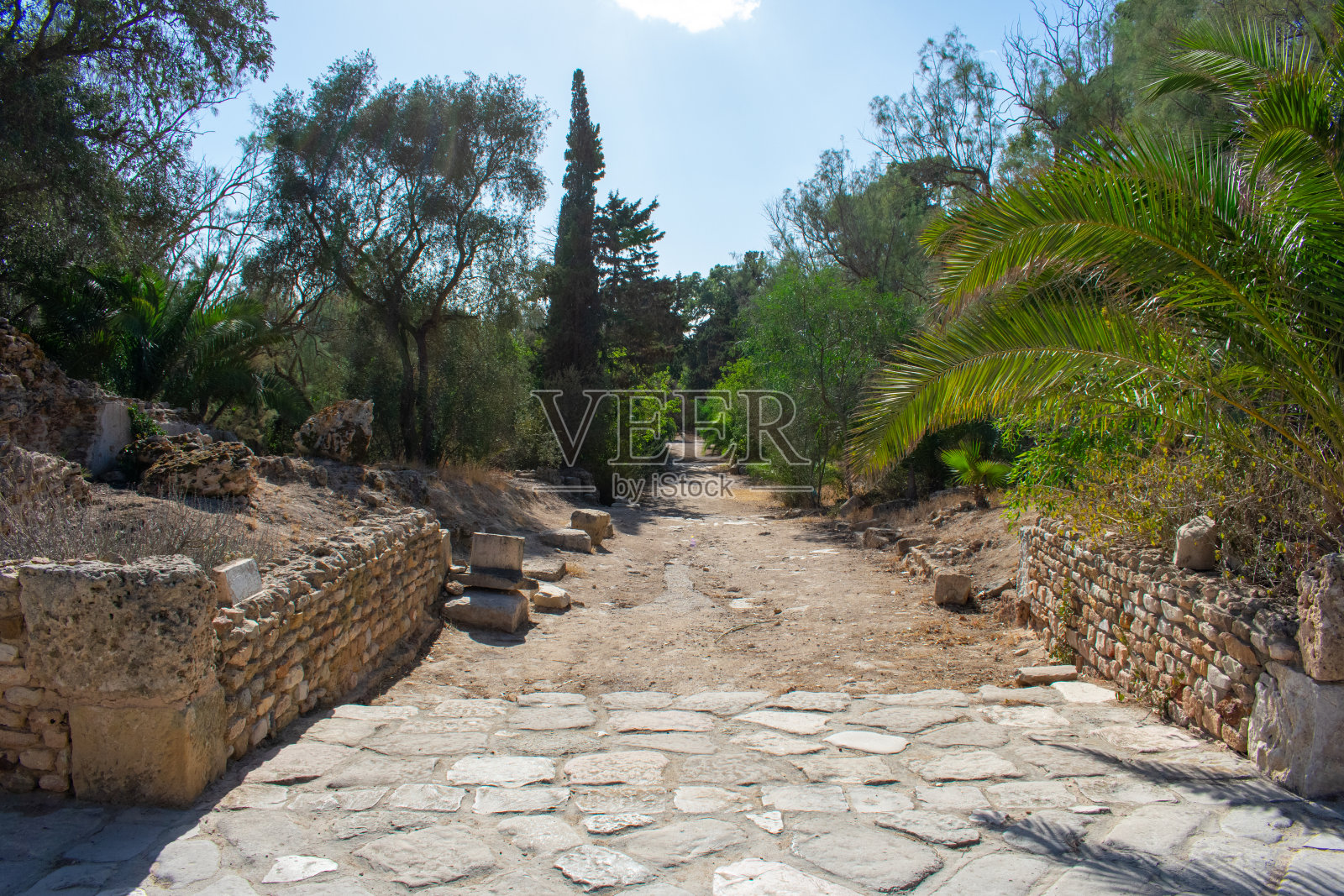 全景的古代遗迹与温泉浴场,考古遗址在迦太基。突尼斯首都突尼斯市照片摄影图片