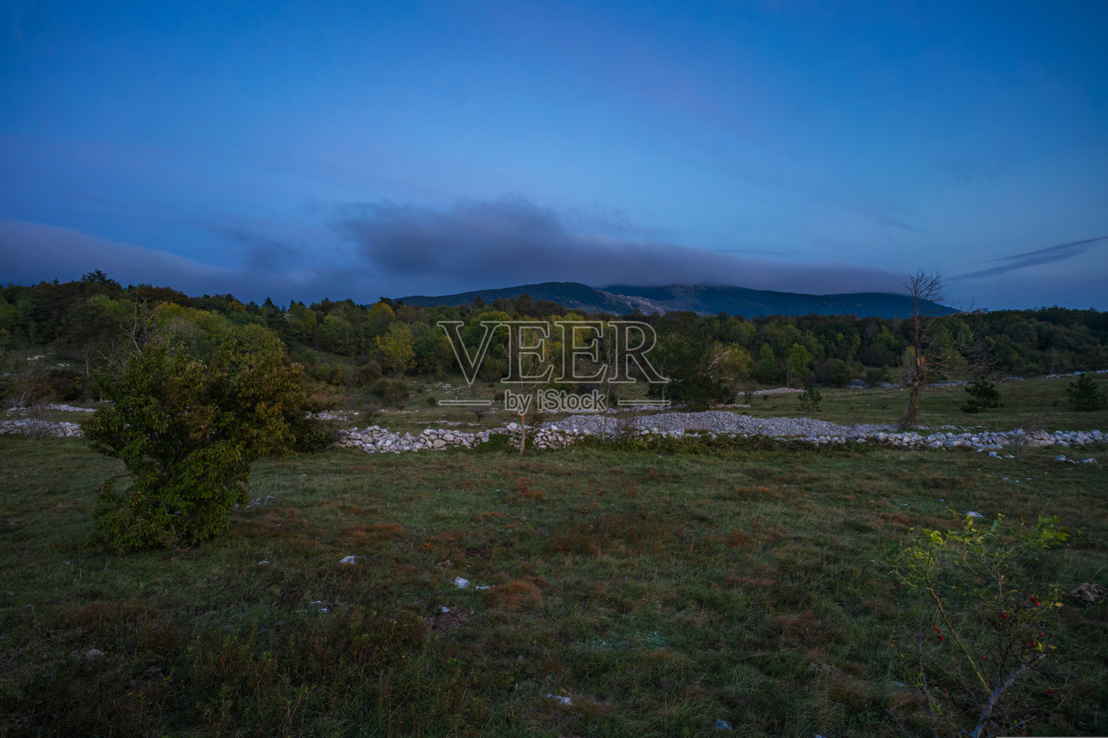 克罗地亚山区草地上大气的夜晚。照片摄影图片