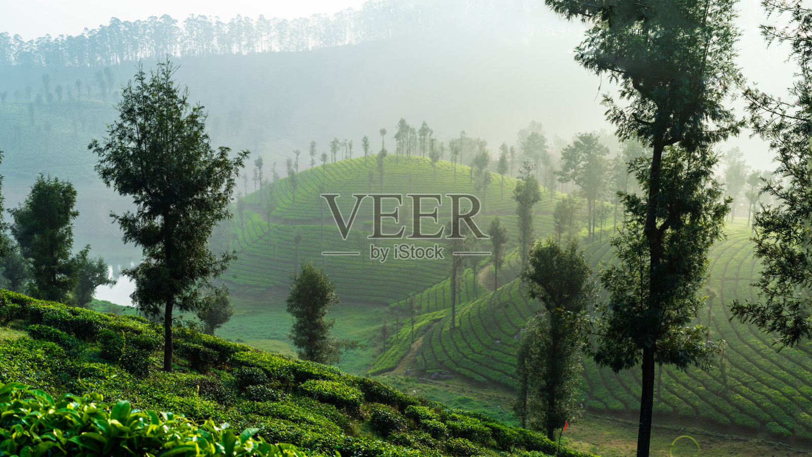 瀑布是一个旅游胜地。悬崖和荒野之间的高瀑布。高原热带森林旅游。照片摄影图片