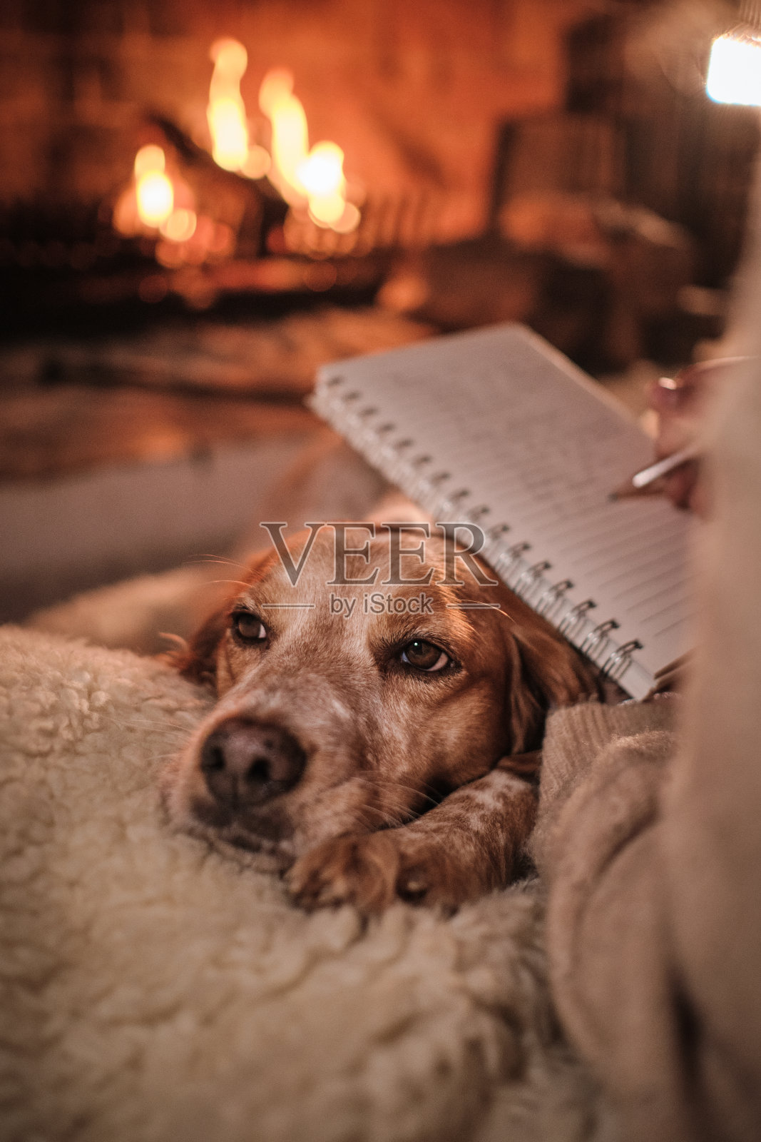 认不出来的人在记事本上写着狗照片摄影图片