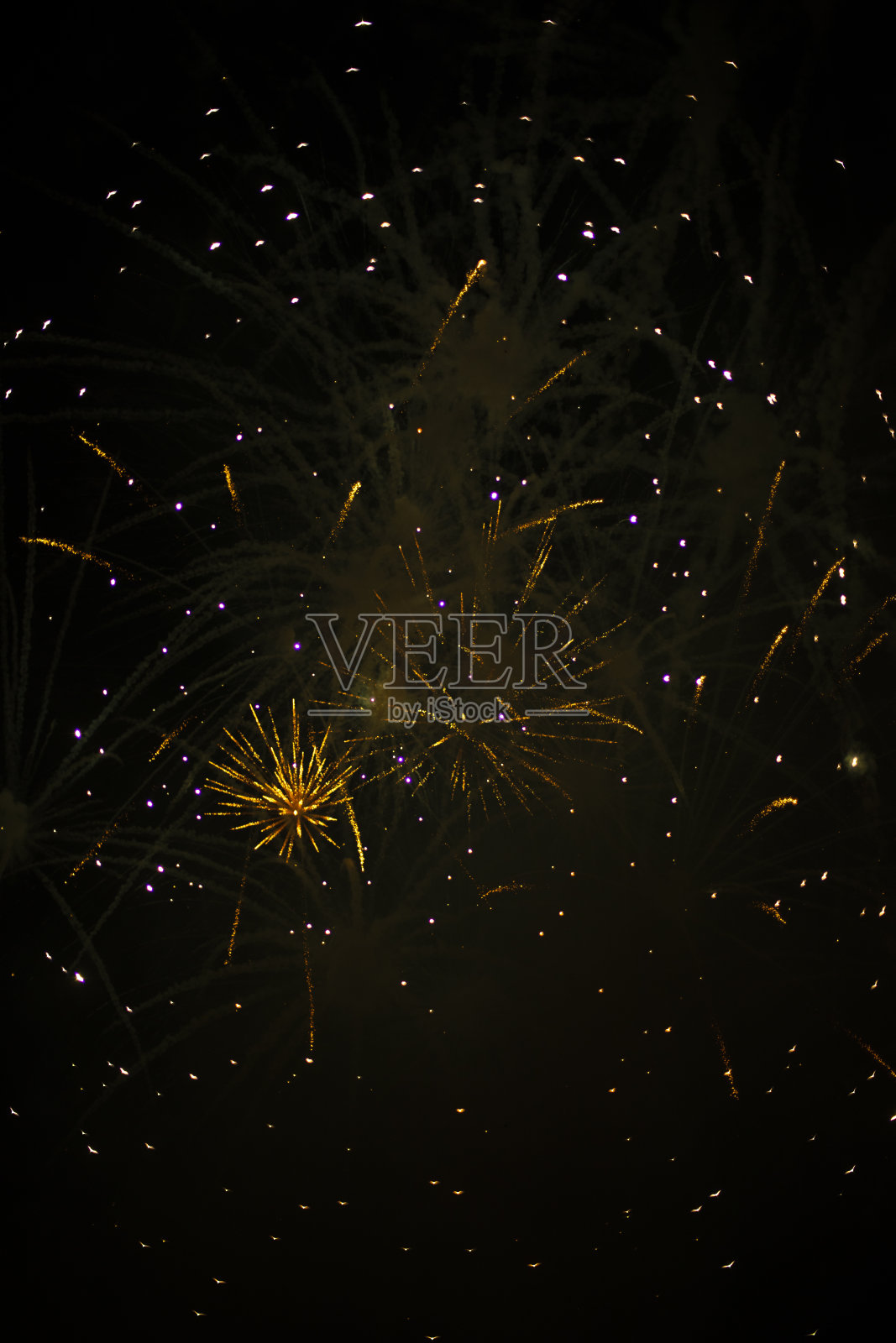 天空中有烟花。烟花在黑色背景上的垂直拍摄。庆祝城市日。照片摄影图片