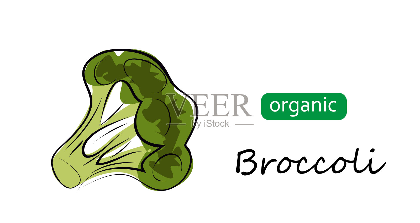 西兰花矢量涂鸦插图。艺术插图有机西兰花。插画图片素材