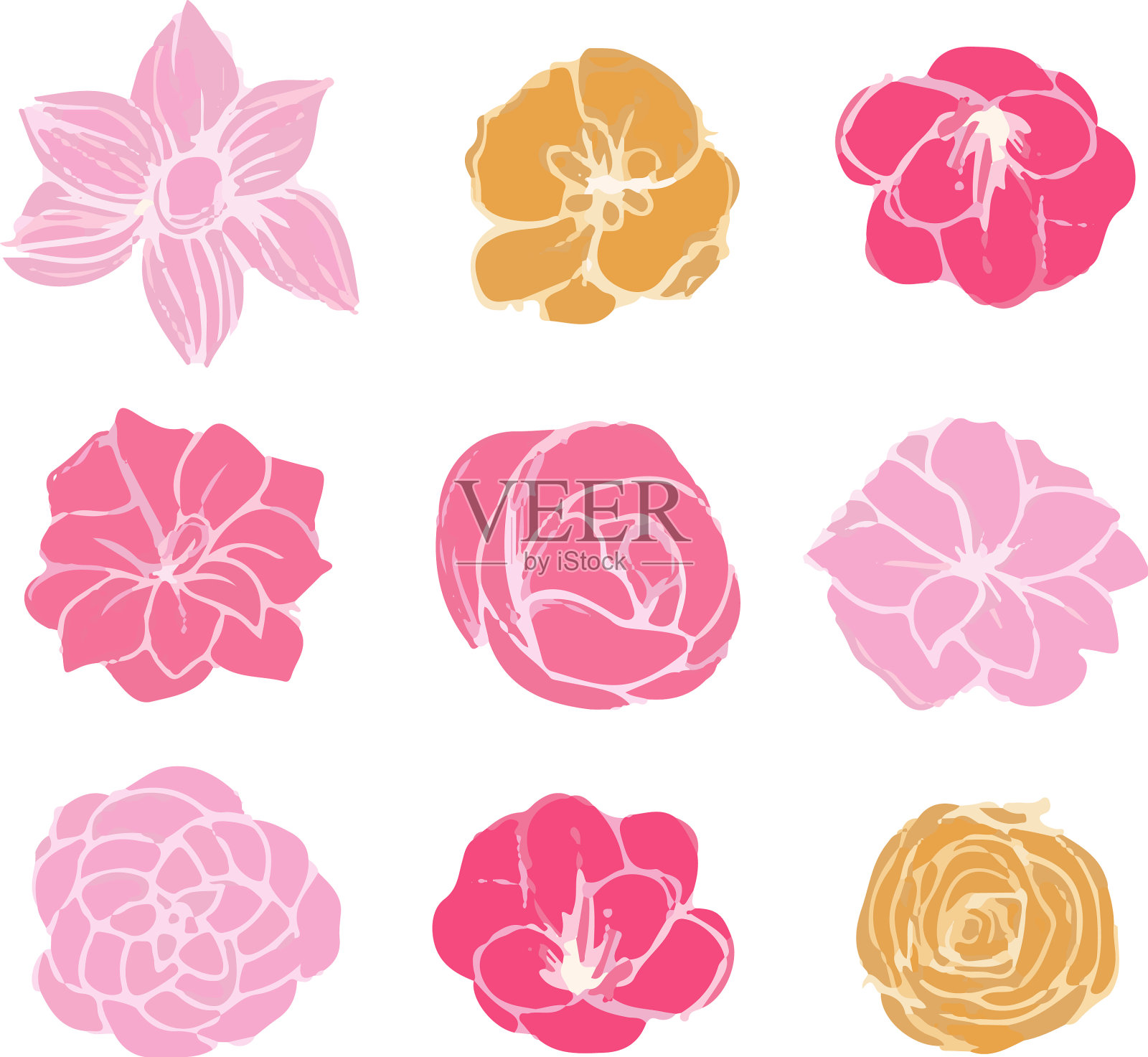 一套鲜花插画图片素材