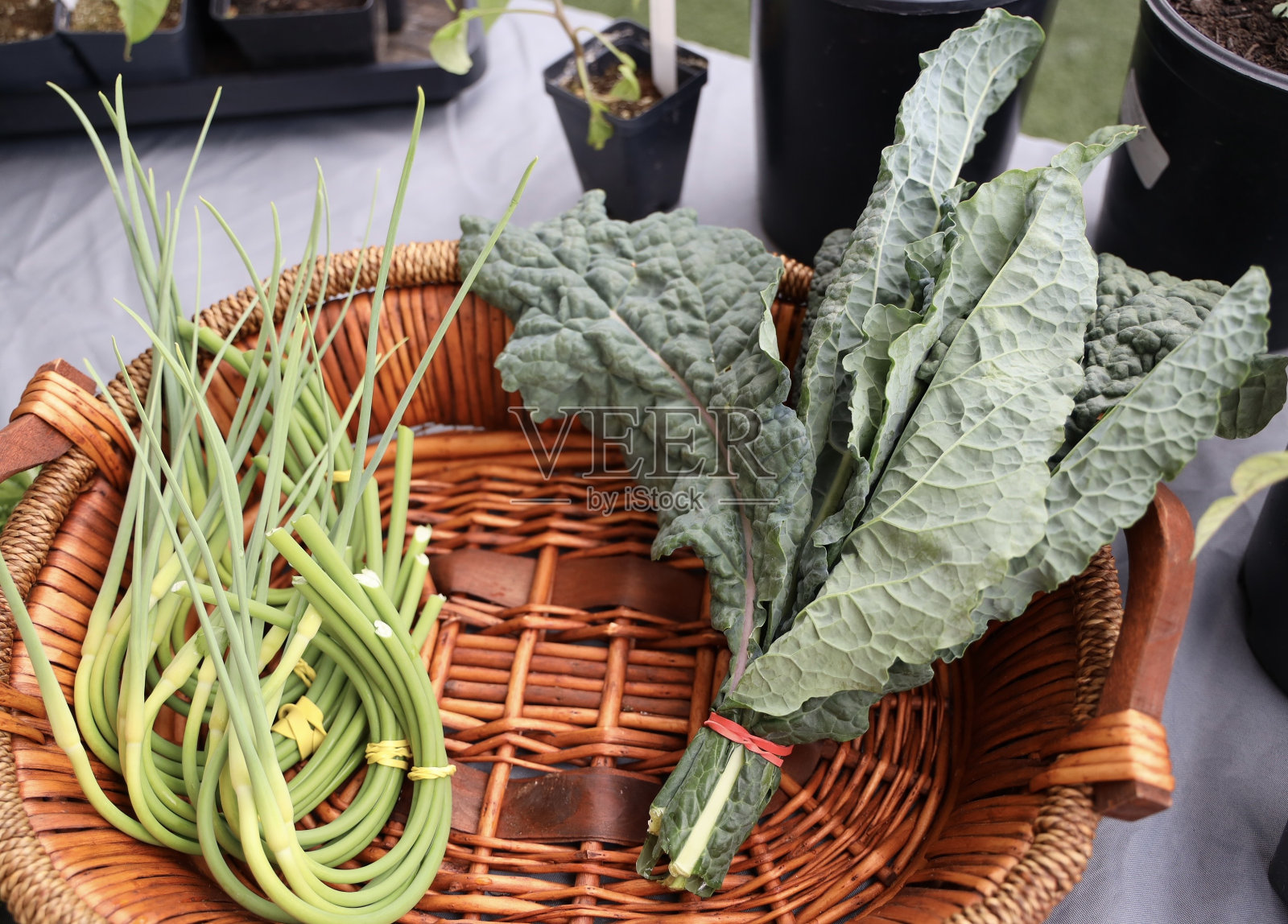 健康的食物照片摄影图片