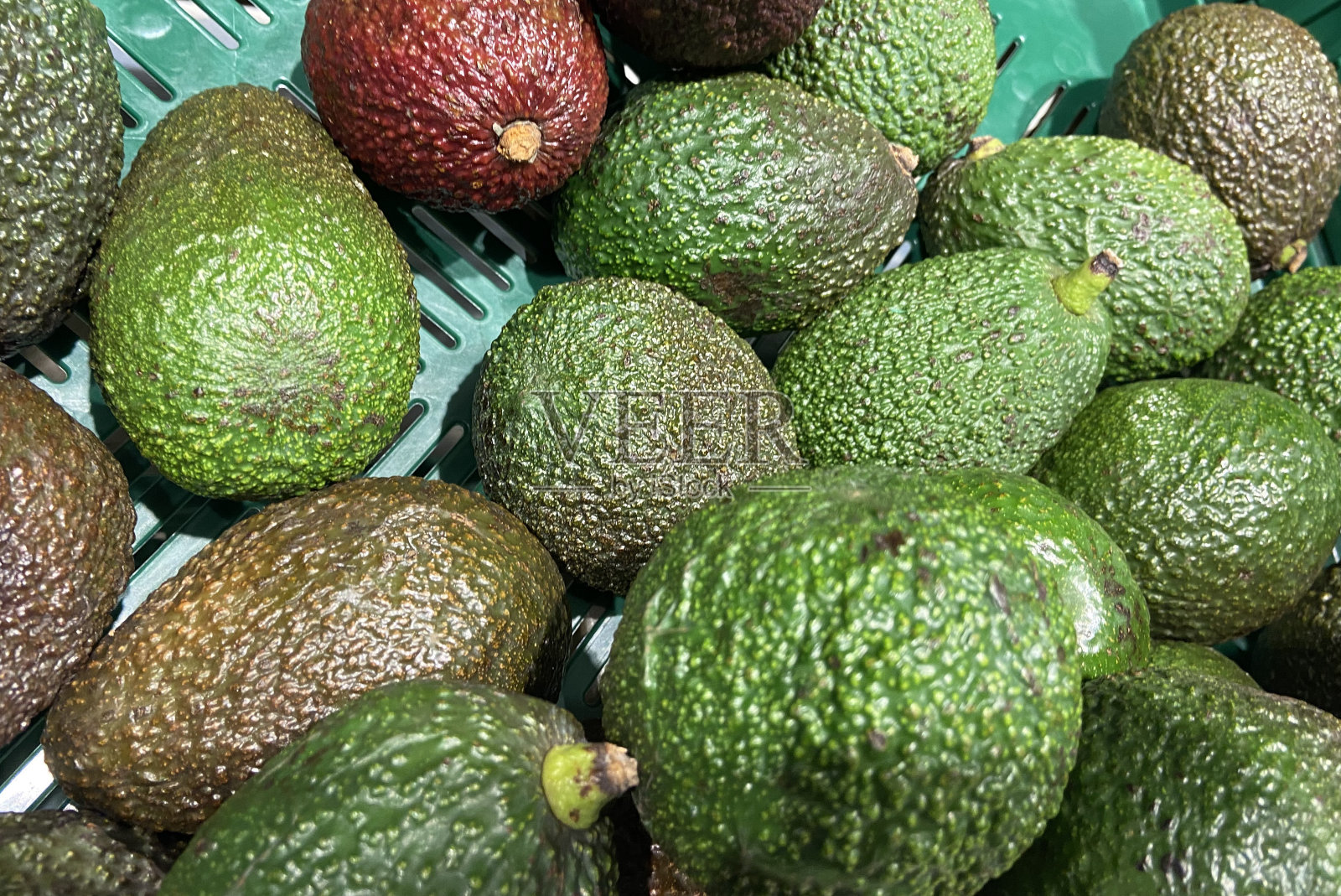 鳄梨照片摄影图片