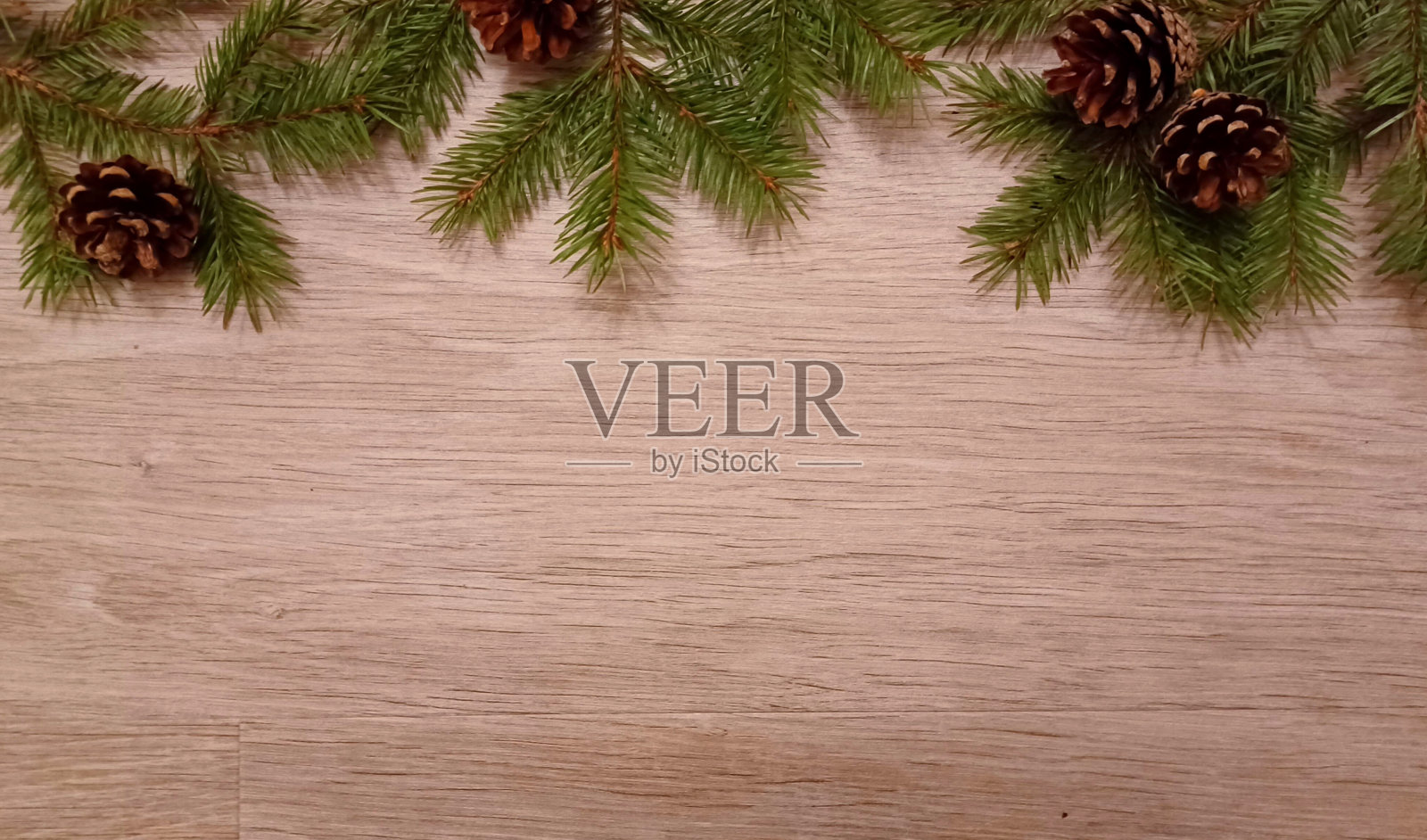 松枝和松果照片摄影图片