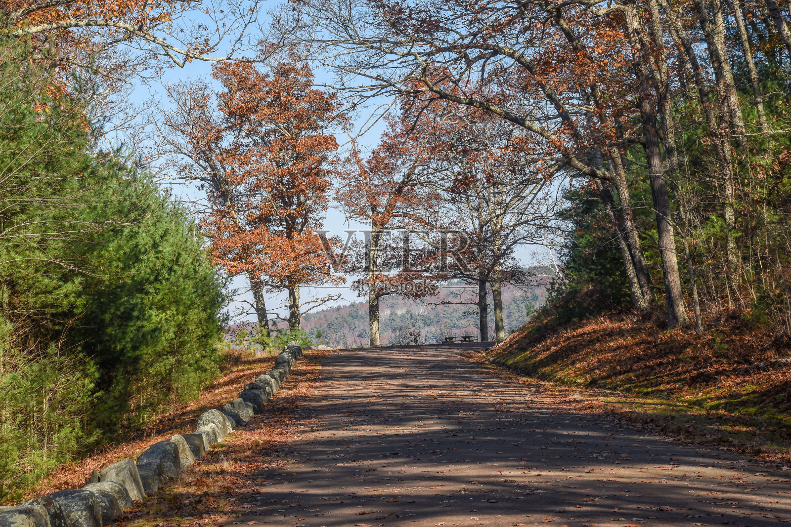 11月的一天,在夸宾水库,照片摄影图片