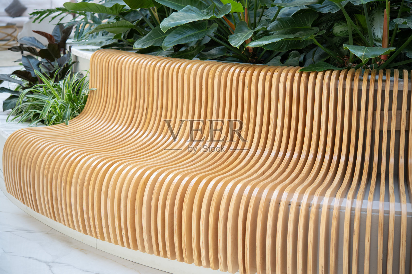 家花园旁边的木凳上种着新鲜的绿色植物。照片摄影图片