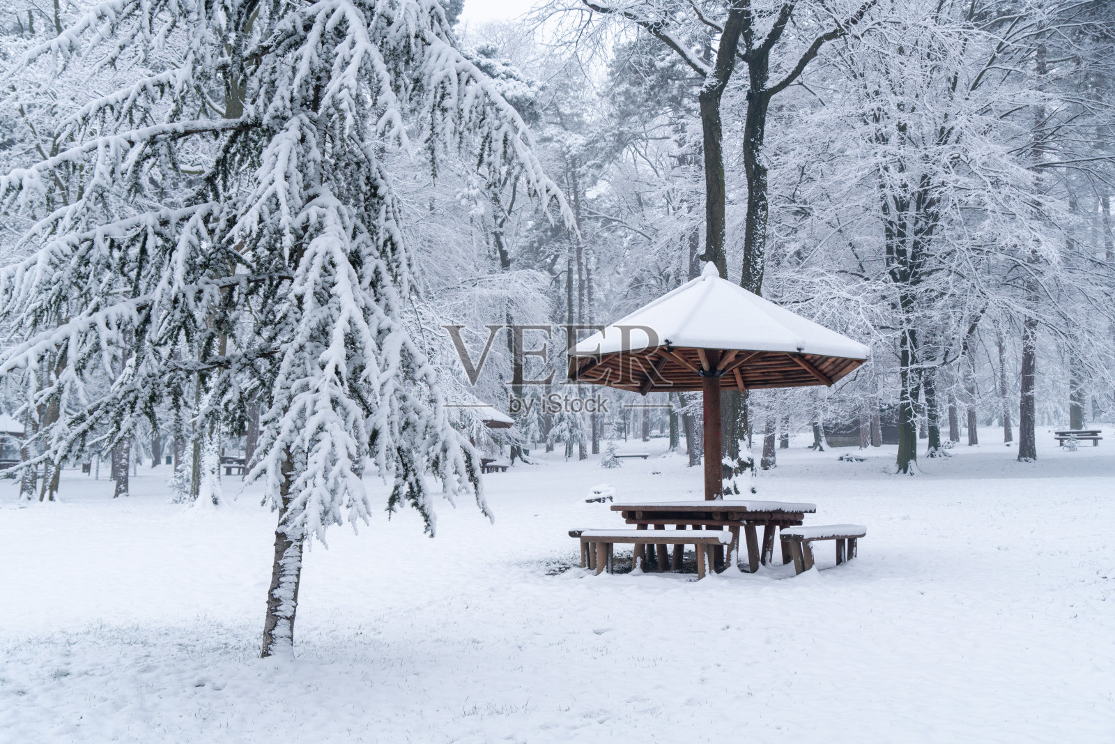 下雪时,雪覆盖了冬季公园。公园里的木制凉亭。照片摄影图片