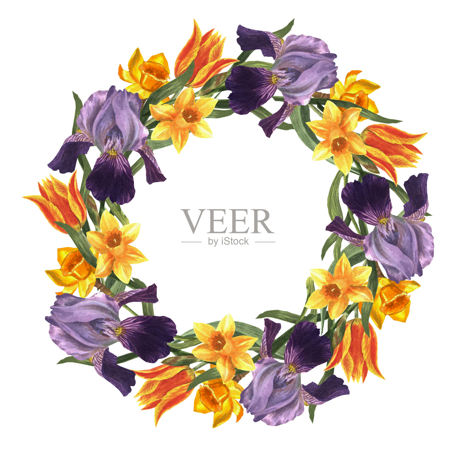 春花花环。为贺卡的花组成的水彩插图照片摄影图片