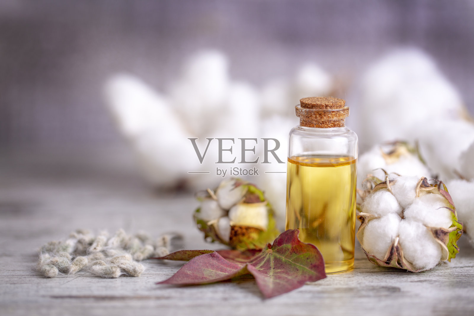 棉球和棉油照片摄影图片