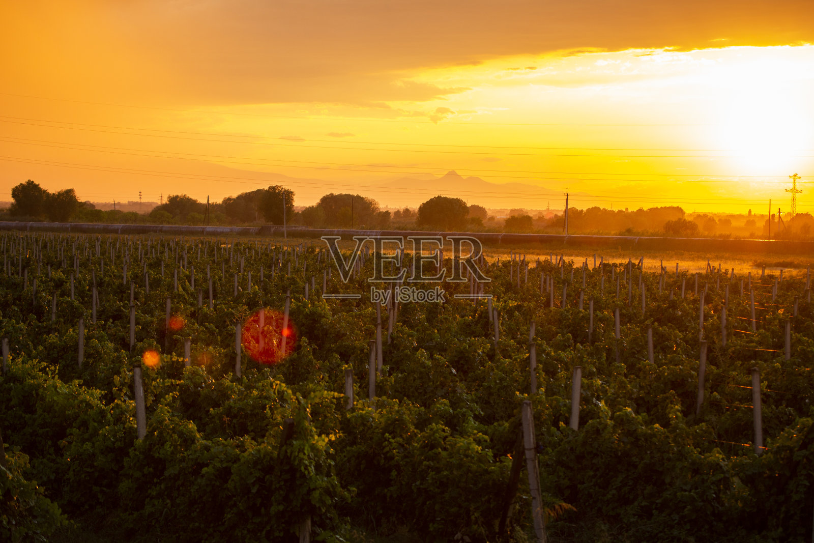 全景在美丽的橙色日落照片摄影图片