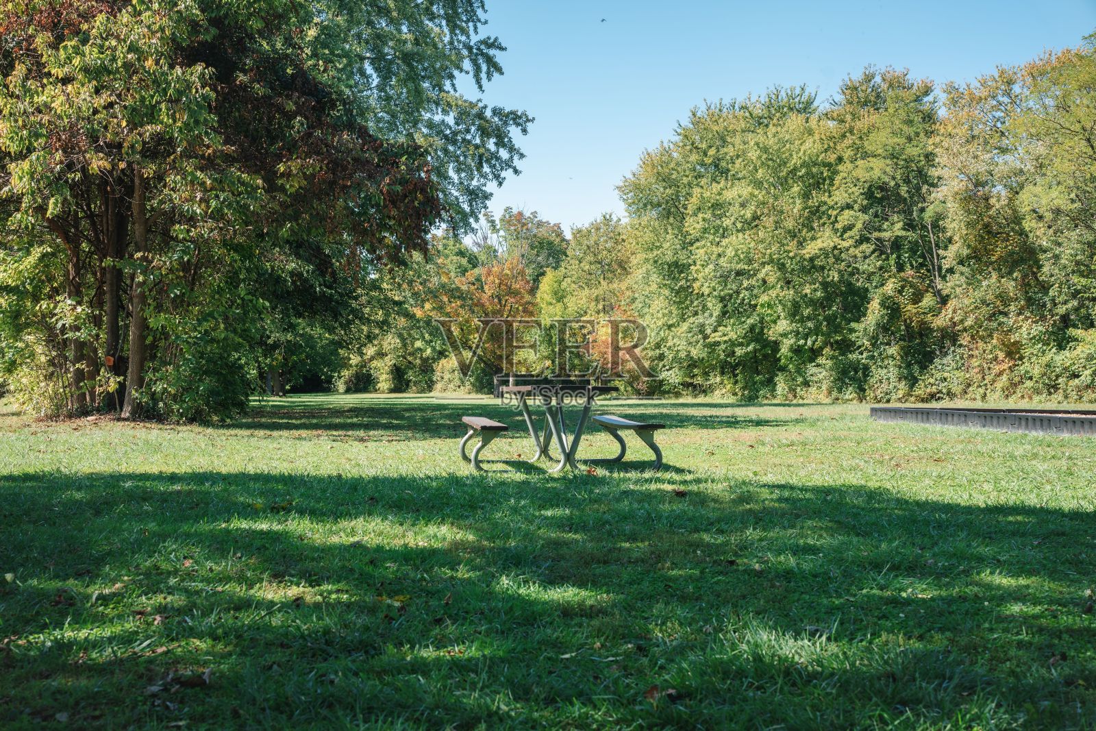 孤立的木制公园长椅位于几棵树附近的草地上。照片摄影图片