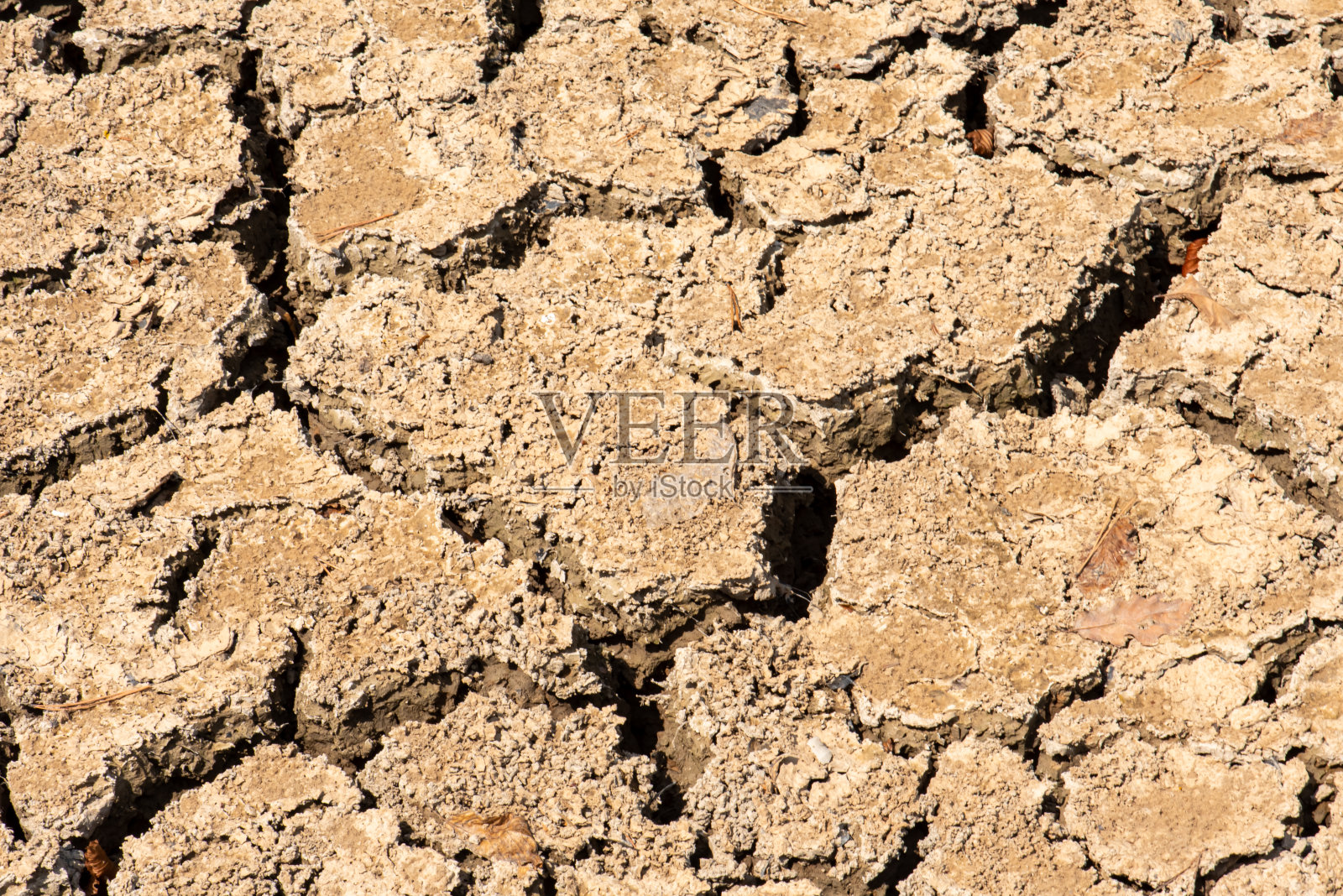 埃及沙漠中龟裂的地面照片摄影图片