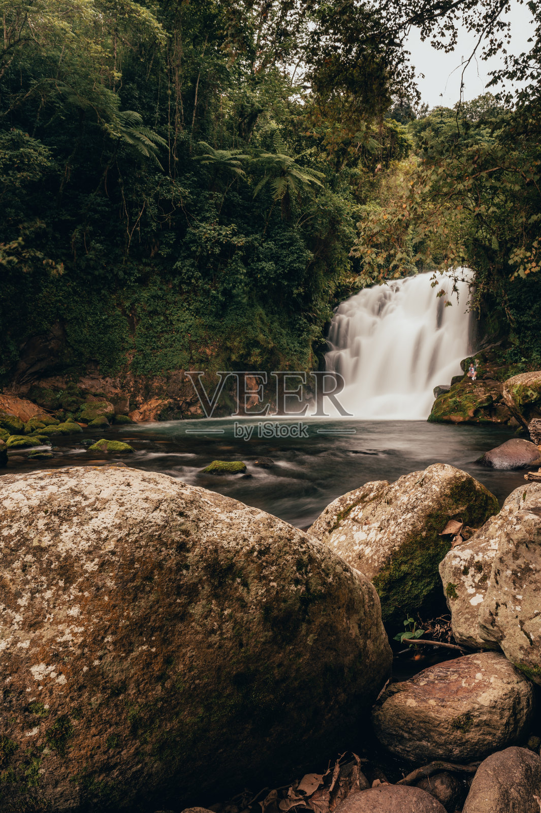 在丛林中央的一条河中,丝绸对瀑布产生了影响照片摄影图片