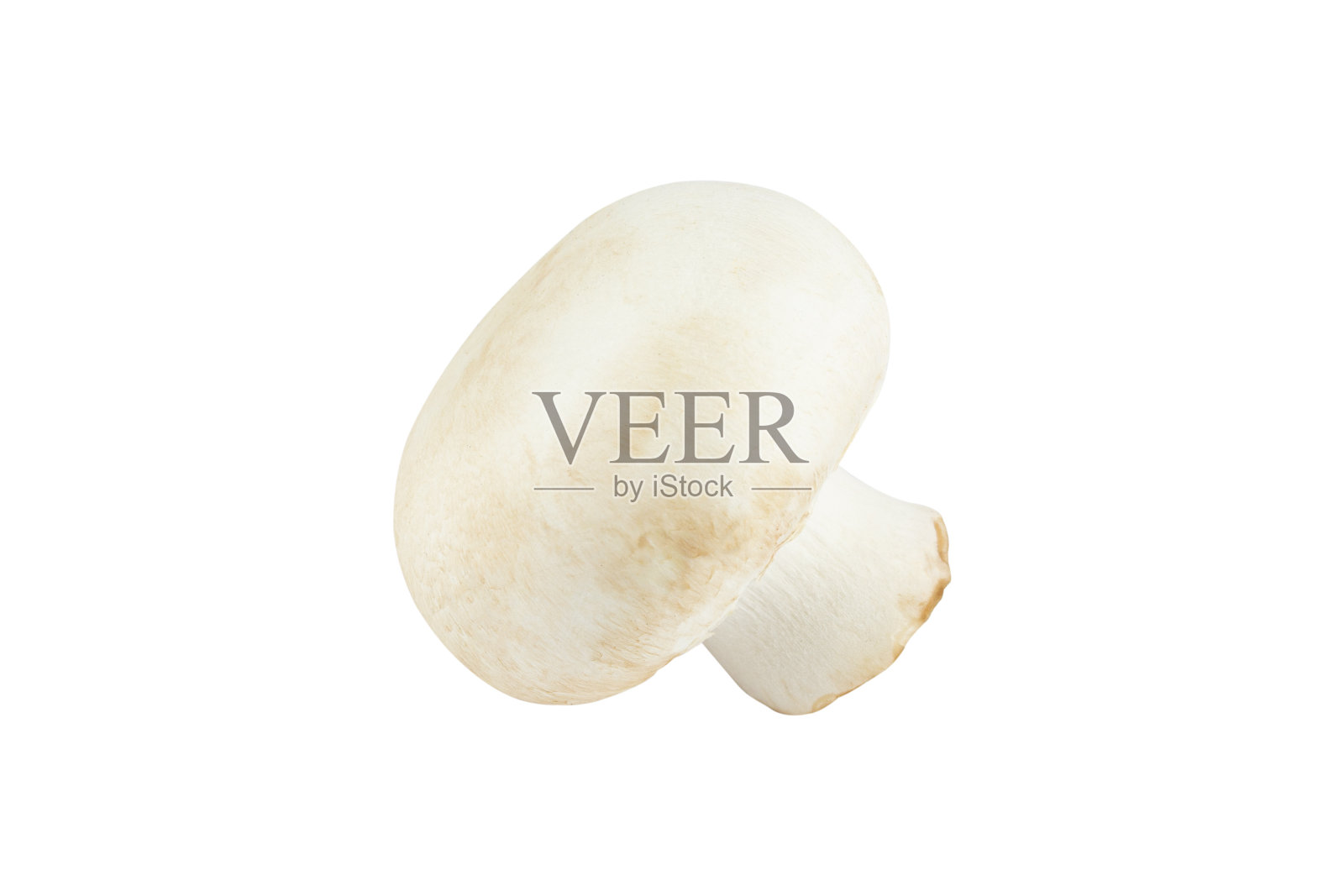 从背景中分离出来的香菇照片摄影图片